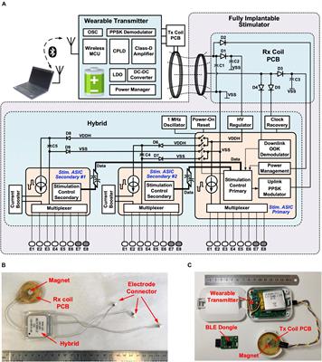 A Versatile Hermetically Sealed Microelectronic Implant for Peripheral Nerve Stimulation Applications